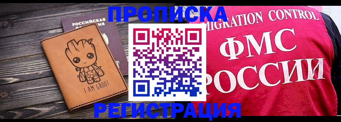 прописка 2025 в Кингисеппе
